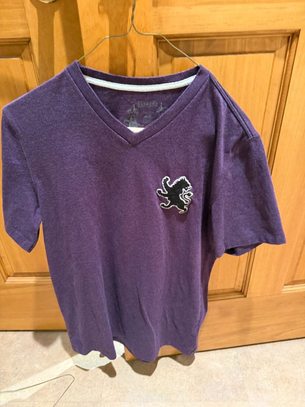 Vintage Express Purple TShirt V-Neck Oversized Lion Logo Medium